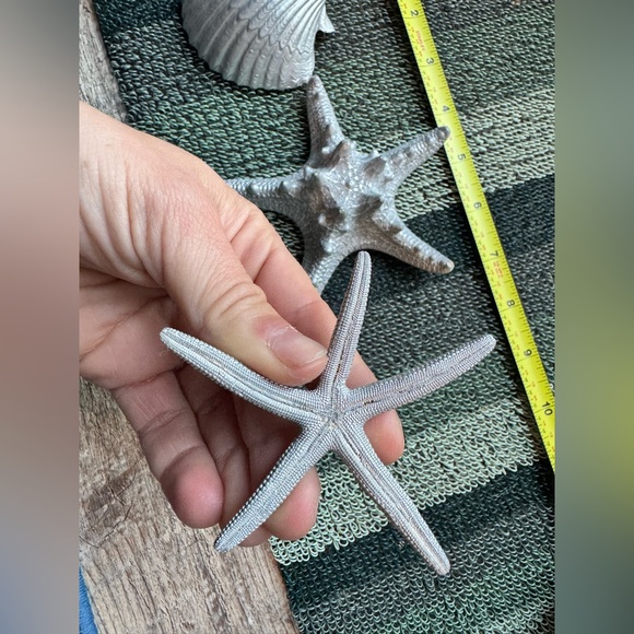 Small Plastic Silver Seashell and Starfish Decor Set - Picture 6 of 8